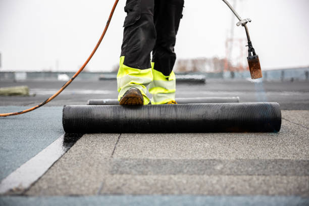 Best Flat Roofing  in Pinellas Park, FL